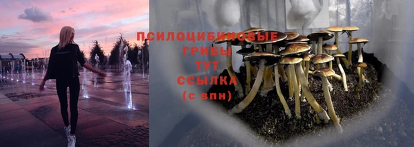 бутират Верхний Тагил