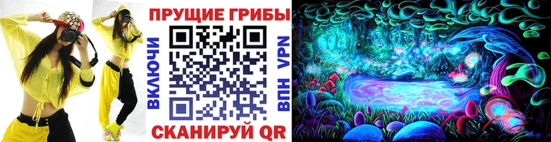 Псилоцибиновые грибы Cubensis  Вельск 